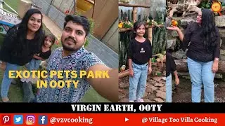 Bird Kingdom at Virgin Earth, Ooty 🦜 | Exotic Pets Park in Ooty | Must-Visit Place