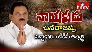 Peddapuram TDP MLA Candidate Nimmakayala Chinarajappa Interview | Nayakudu | hmtv