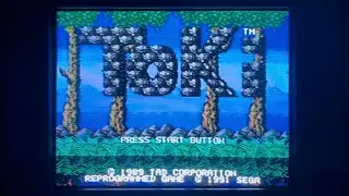 Toki Goes Ape Spit - Sega Genesis grave games