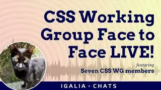 CSS Working Group Face to Face LIVE!