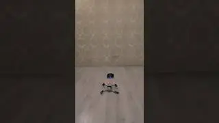 Cколько тянет DJI mini 2?