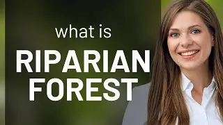 Riparian forest &mdash; meaning of RIPARIAN FOREST