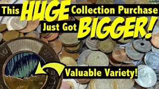 Surprise Additions to this *HUGE* Collection Purchase!