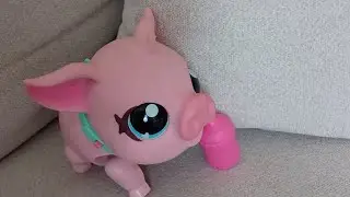 Little Live Pets Walking Pig Piggly toy REVIEW