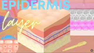 Integumentary Part 2 Epidermis Layer (Tagalog/Filipino)