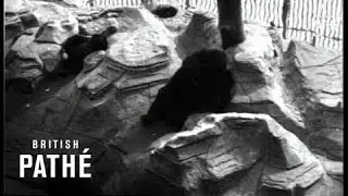 Джек Барти (1930)
