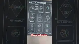 Plant Mitosis /Mitosis cell division #genetics #mitosis #agriculture #youtubeshort #trending