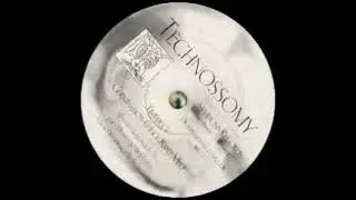 Technossomy - Untitled (Symbiosis Records 005) 1995. B: Germination (Huge Rant Mix).