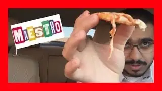بيتزا مايسترو