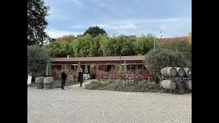 Pence Vineyards & Winery, Sta. Rita Hills, CA: 3 Reasons to Wine Taste - 60 Second Tour #shorts