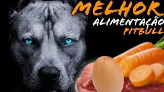 O QUE PITBULL PODE COMER? MELHORES ALIMENTOS PARA PITBULL [ SUPLEMENTOS ]