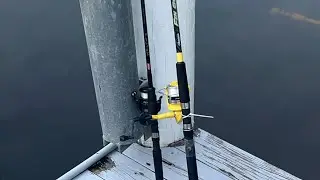 Fishing for monster exotics early in the morning in South Florida marathon edition ￼