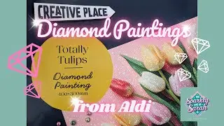 Aldi Diamond Painting Haul
