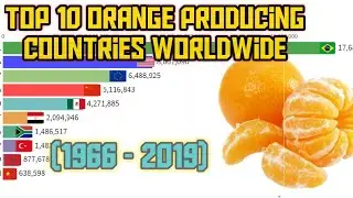Top 10 Orange Producing Countries Worldwide🍊