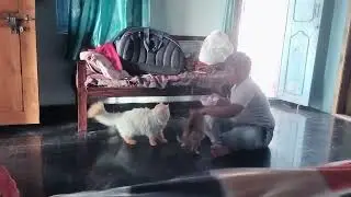 #🥰🥰🥰cat eating time....🥰🥰🥰cat food...