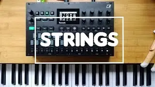 Elektron Tonverk orchestral, strings JAM dawless 01/25/11 12:30