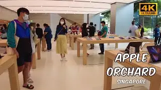 Apple Orchard Road | Singapore Walking Tour | Feb 2022 [4K]