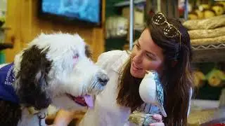 Pet Friendly Galena Country