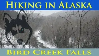 Hiking in Alaska (Bird Creek Falls)