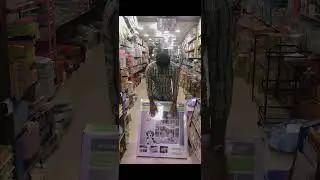 Baby Safe Gate