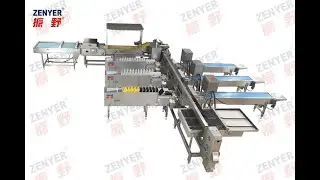 Zenyer 109 egg grader with auto vacuum loader 27000 eggs/hour