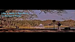 An Anamorphic View: A WALK IN THE PARK