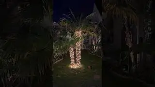Do you like fairy lights? (Or Christmas lights as we call them in Dutch!) #christmas #lights