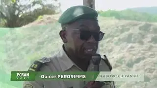 Ecran vert, à la découverte du Parc de la vallée de la N'sele avec Bibish Nguwa, partie 2