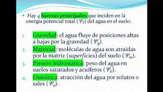 El potencial total del agua del suelo.