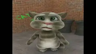 tom el gato pendejo