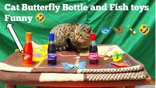 Cat New butterfly 🦋 bottle 🍾 and fish 🐠 🐟 toys Funny 🤣 Vlog 🔥 💯 English language  ( Violation97sss )