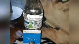 My Updated Thrive experience 123
