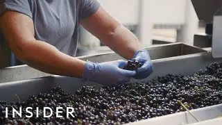 How to Make wine Inside The Factory|how it's made modern agriculture|grape wine|wine making Inside||