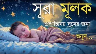 ঘুমানোর আগে এই তেলাওয়াত শুনুন সূরা আল মূলক খুব সুন্দর তেলাওয়াত | Surah Mulk Bangla - Shamsul Haque