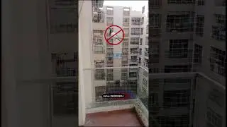 #YPL Safety Nets | Effective #Pigeon Nets for Apartments | Chennai Solutions