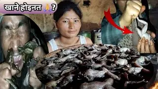 पाहा भन्छौ हामी के भन्नुहुन्छ तपाईहरुToday we are going to hunt paha at night. @Ww.Ramittiger .