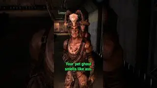 The Most Unpopular Companion in Fallout: New Vegas