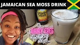 99 Problems and SEA MOSS Solved 92 of them || How to make Irish Moss Drink || Sea Moss Gel