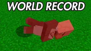 VillagerKill% 22.16 Speedrun [WR]