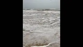Sea Walk for Find Ambergris