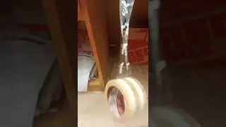 Time pass Tape Rotating