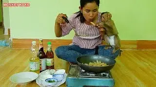 Mom Cooking Stir Fried Eggs With Lotus Root For Monkey Kako | Baby Monkey Eat Rice