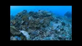 Wonderful Indonesia - Alor