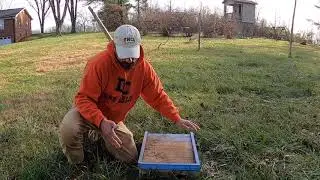 Hive Placement and Setup