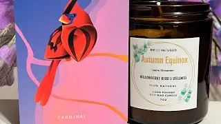 Cardinal - Daily Spirit Messages 9/16/2024