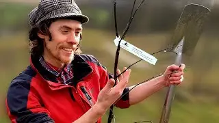 Planting Fruit Trees. What you need to know! - Apple, Cherry, Quince...