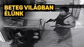Három videófelvétel arról, hogy milyen beteg világban élünk
