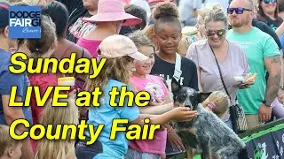Sunday LIVE at the 2025 Dodge County Fair