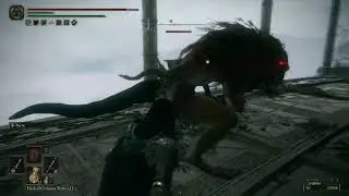 Leonine Misbegotten (normal enemy encounter) - Arcane Parry Dagger Build (Poison Mis&eacute;ricorde)