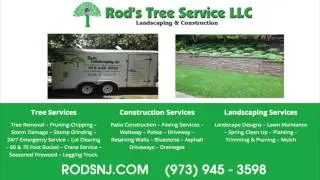 Tree Service Morris County NJ